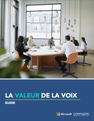 Voici votre guide : La valeur de la voix